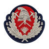 Embroidered senior officers IGSU Badge metal wire (custom message)