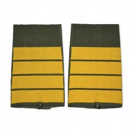 PAIR OF ORIGINAL RANKS - CAPTAIN AT SEA - GERMAN ARMY - OLIVE GREEN/GOLDEN