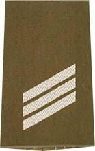 EMBLEMA - GERMAN ARMY O.D./SILVER SHOULDER LOOPS ´HAUPTGEFREITER´