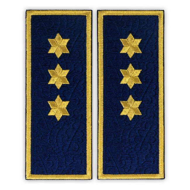 Grade inspector principal penitenciar ANP