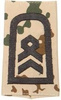 EMBLEMA - GERMAN ARMY TROPICAL CAMO/BLACK SHOULDER LOOPS ´STABSFELDWEBEL´