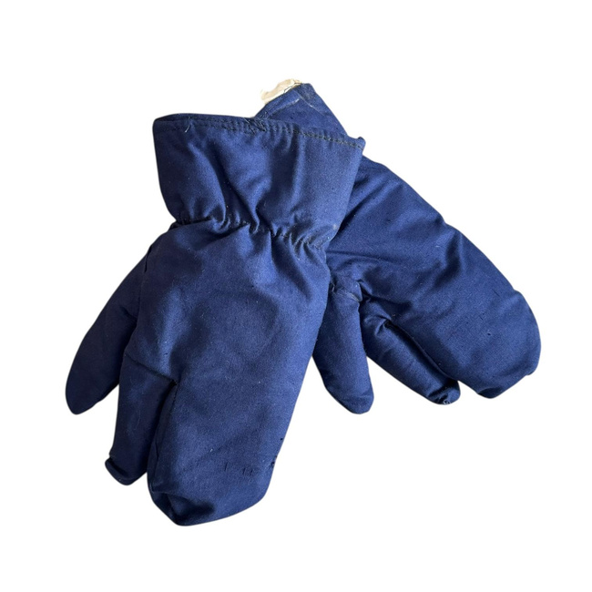 Manusi de protectie imblanite din material de foaie de cort, cu 3 degete - Surplus militar Armata Romana - Albastru inchis - In stare buna