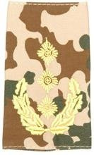 EMBLEMA - GERMAN ARMY TROPICAL CAMO/GOLD SHOULDER LOOPS ´GENERAL-LEUTNANT´