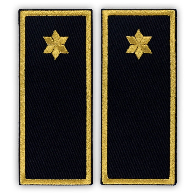 Embroidered sub-inspector penitentiary ANP badge