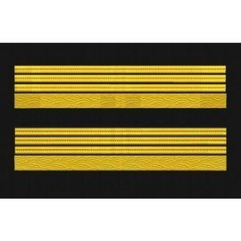 GRADE MANECA PENTRU COLONEL MAPN