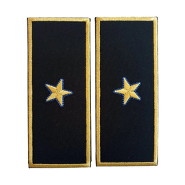 GRADE DIRECTOR EXECUTIV ADJUNCT VAMA - CEREMONIE/ NEGRU