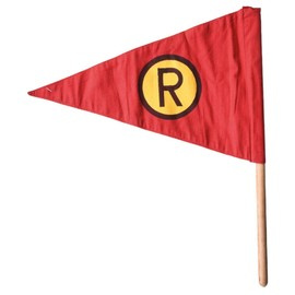 STEAG - AUTORITATEA DE REGLEMENTARE A GERMANIEI DE EST - UZAT