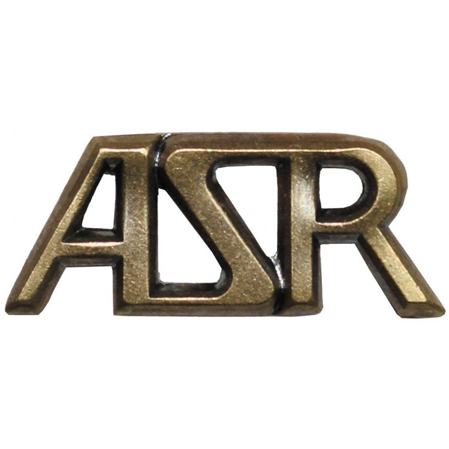 Insigna CZ/SK - Surplus Militar