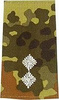EMBLEMA - GERMAN ARMY FLECKTARN CAMO/SILVER SHOULDER LOOPS ´OBERLEUTNANT´