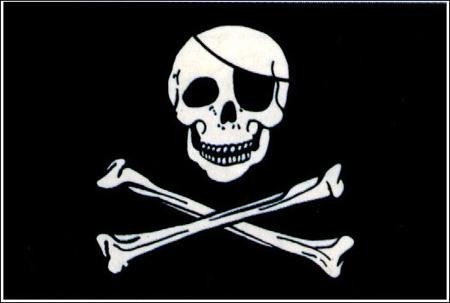 Steag cu suport de lemn 30 x 46 cm PIRATI