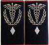 Chief Medical Officer Ambulance Grade I