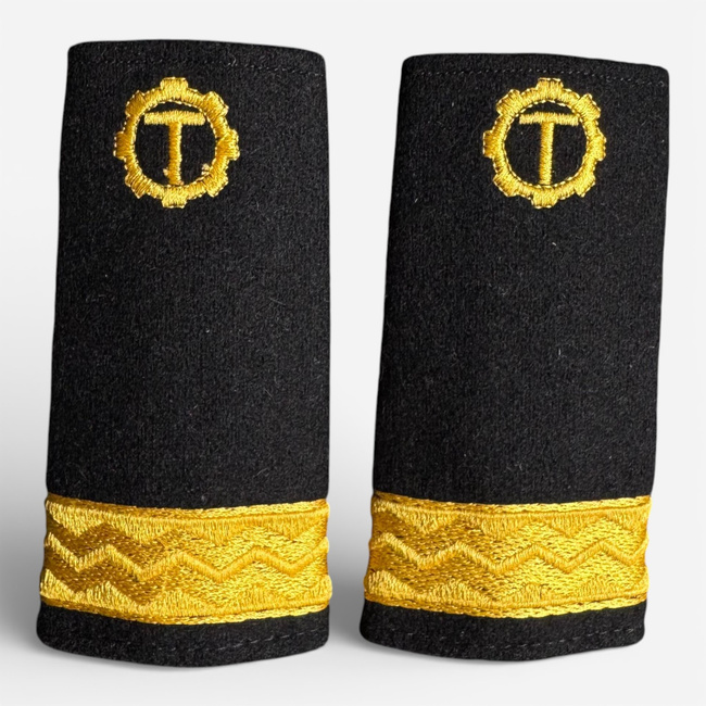 GRADE SUBOFITERI, FORTELE NAVALE - SERGENT CU SEMN DE ARMA TEHNIC, V1 - ORAS NEGRU - SURPLUS MILITAR ARMATA ROMANA - IN STARE BUNA