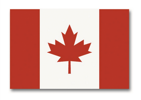 Steag Canada