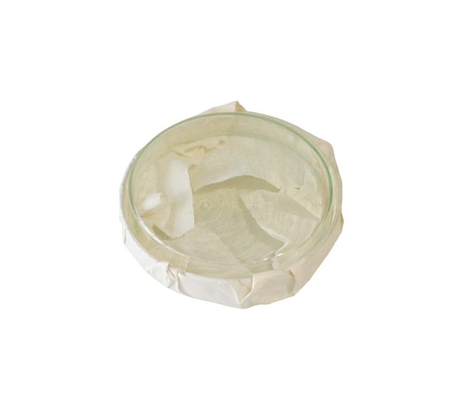 SET DE DOUA VASE PETRI DIN STICLA, CU DIAMETRUL DE 19-20 CM - SURPLUS MILITAR DE LA ARMATA ROMANA - CA NOU