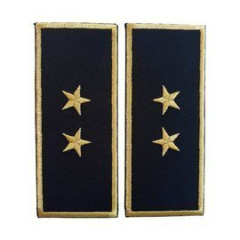 GRADE SEF BIROU VAMAL - REPREZENTARE/ BLEUMARIN