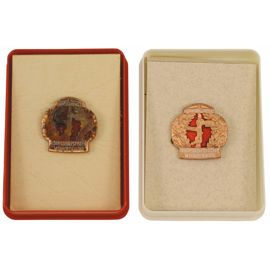 NVA emblema metal, Wehrerziehung Bronze, SURPLUS MILITAR