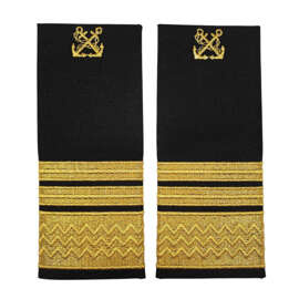 Grade inspector de specialitate ANR - 13 cm