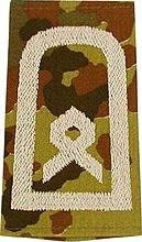 EMBLEMA - GERMAN ARMY FLECKTARN CAMO/SILVER SHOULDER LOOPS ´HAUPTFELDWEBEL´