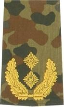 EMBLEMA - GERMAN ARMY FLECKTARN CAMO/GOLD SHOULDER LOOPS GENERAL-MAJOR