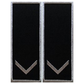 Grade Functionar Public Principal Politia Locala