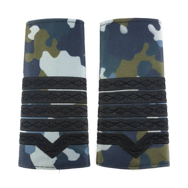 GRADE MILITARE AVIATIE COMBAT, GRADE MAISTRU MILITAR CL 1 AVIATIE