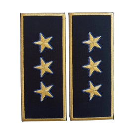 GRADE DIRECTOR GENERAL ADJUNCT VAMA - CEREMONIE/ NEGRU