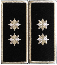 Grade Adjunct Sef (director executiv adjunct) Politia Locala - Varianta 3