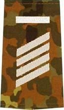 EMBLEMA - GERMAN ARMY FLECKTARN CAMO/SILVER SHOULDER LOOPS ´STABSGEFREITER UA´