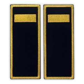 Grade Agent penitenciar ANP - Fundal simplu - 14x5,5 cm (model vechi)