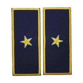 GRADE DIRECTOR EXECUTIV ADJUNCT VAMA - REPREZENTARE/ BLEUMARIN