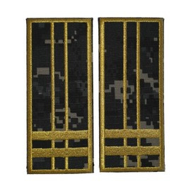 GRADE INSPECTOR VAMAL PRINCIPAL