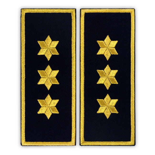 Grade Commissioner Chief Penitentiary ANP-simple