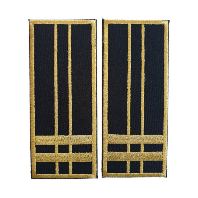 GRADE INSPECTOR VAMAL PRINCIPAL