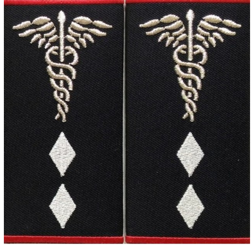 Grade Asistent Medical șef la nivelul județean sau al municipiului București cu atribuții pe plan regional