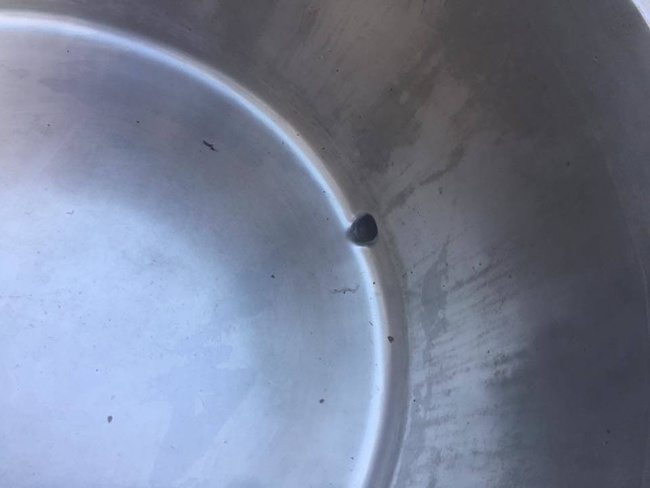 Stainless steel boiler with lid - Field Kitchen - Military Surplus from Romanian Army - 200L - Used