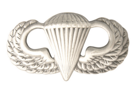 Insigna US Para Basic