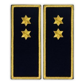 GRADE INSPECTOR PENITENCIAR ANP SIMPLU