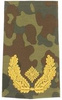 EMBLEMA - GERMAN ARMY FLECKTARN CAMO/GOLD SHOULDER LOOPS ´BRIGADE-GENERAL´