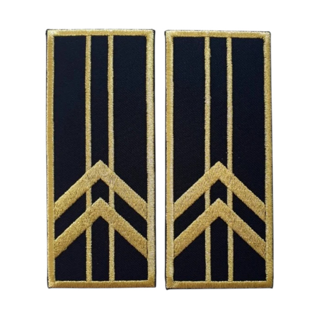 GRADE CONTROLOR – REFERENT VAMAL PRINCIPAL - CEREMONIE/ NEGRU