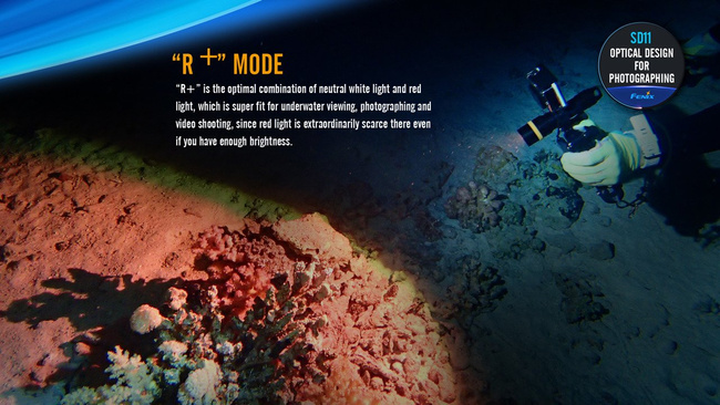 FLASHLIGHT - SD11 - FENIX®