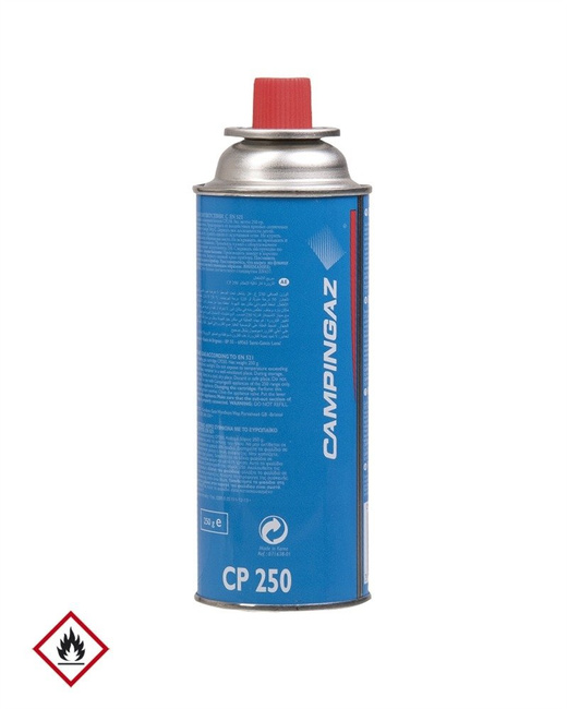 CARTUŞ GAZ BUTAN 250G