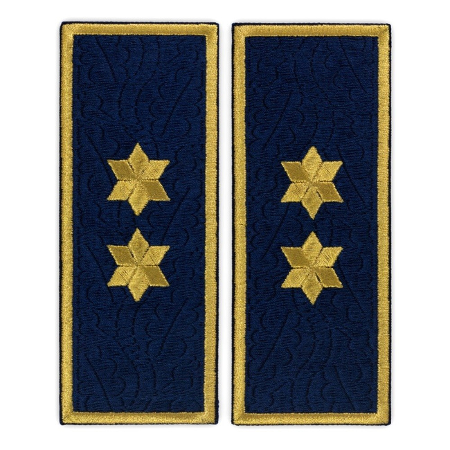 Embroidered commissioner penitentiary badge ANP