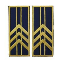 reprezentare/bleumarin