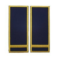 reprezentare/bleumarin