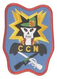 EMBLEMA ´U.S. CENTRAL COMMANDO NORTH´ 110 x 80 MM