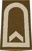 GERMAN ARMY O.D./SILVER SHOULDER LOOPS ´FELDWEBEL´