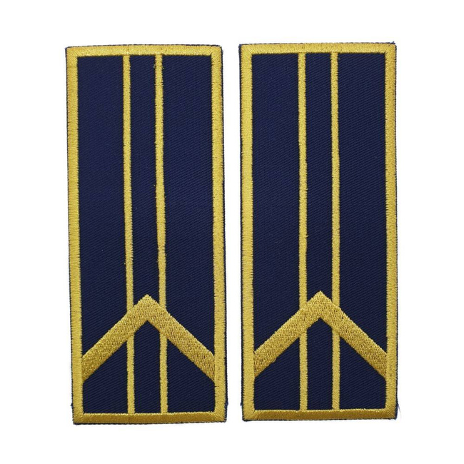 GRADE CONTROLOR – REFERENT VAMAL ASISTENT