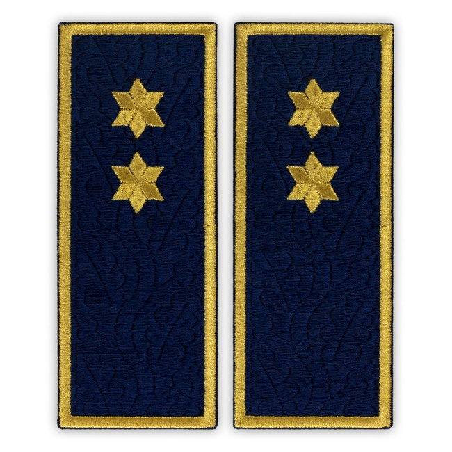 Embroidered penitentiary inspector badge ANP