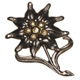 Insigna, emblema BW Edelweiss