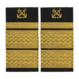 GRADE ANR DIRECTOR DIRECTIE | DIRECTOR CAPITANIE ZONALA - 11 cm